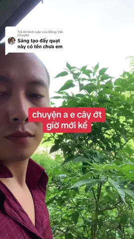 Trả lời @Đồng Văn Chuyên  cảm ơn a đồng văn chuyên đã tặng em cây ớt mang từ tuyên quang về ạ  @Thần$Quạt 