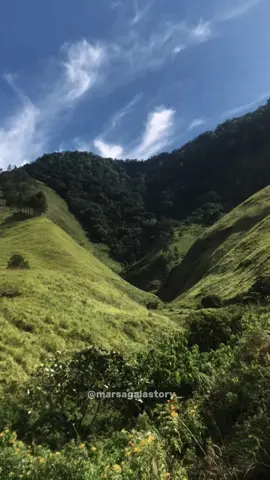 Margogo ijur bari #liriklagubatak #bataktoba #lagubatak #foryou #CapCut 