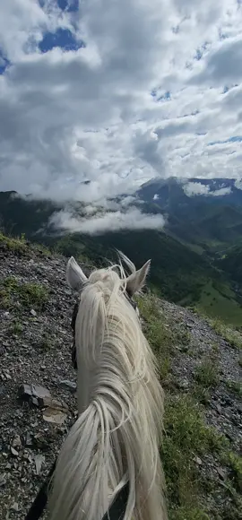 novur ❤️ #azerbay #kesfet #Love #daĝlari #Qafqaz #zaqatalamiz #zaqatala #ilisu❤️ #atlari #menzere #capc #saribaş #qax #ilisu 