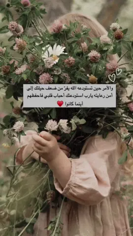 #راقت_لي #مساء_الحب_والسعاده #fypシ #اكسبلورexplore #صباحكم_سعادة_لاتنتهي 