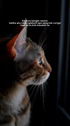 kecewa banget😔 #fypシ  #katakata  #storysad 