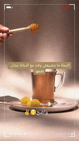 جات قدك البس 😂😂 #عزة_النفس #نحل#ضحك😂 #tunisia🇹🇳_algeria🇩🇿_maroc🇲🇦 