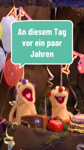 Jan & Henry feiern am 9.9.23 ihren 10.Geburtstag! #janundhenry #bestjobintheworld #erdmännchen #fyp #fypシ #fyy #fyyy #foryou #foryoupage #geburtstag #geburtstagslied #happybirthday #birthday