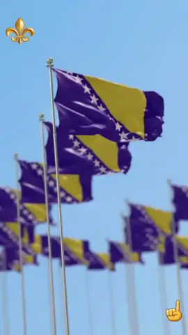 #🇧🇦⚜️ #⚜️ #bosnia #Love #ljiljanibosne #lovebosniaandhercegovina #bosanskazastava #bosnia🇧🇦 