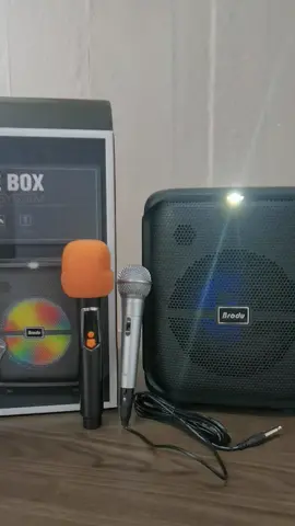 BTS1740 karaoke speaker