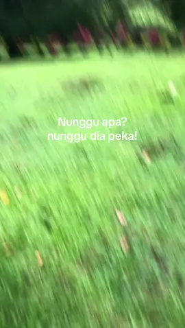 #zyxcba #rasyidlaming 