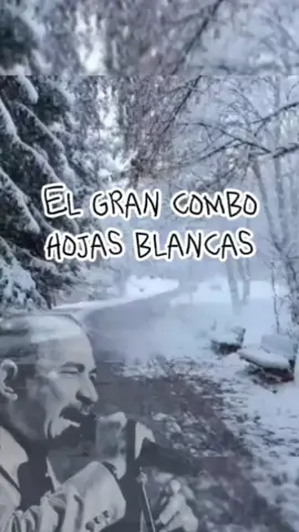 #CapCut #grancombo #grancombodepuertorico  #charlieaponte #amolasalsa😍♪♬♫🎤🎶 #corosalsero #salsaparadedicar😏🔥 #salsacalicolombia #salsadealcoba🎶🇨🇴 #caliessalsa #lomassonado #viral #clasicossalseros #romaticasalsa #colombia #salsapalbarrio #salsa #estadoparawhatsapp #parabailar #salsaymassalsa❤️🚀🔥🎵 #clasicosalsero #amolasalsabaul❤👌😎 #salsaessalsa #paratodoslosgustos #puertorico 