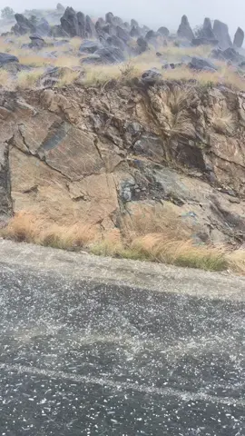 #برقك_يسوق_المخاييل #fypシ #vira