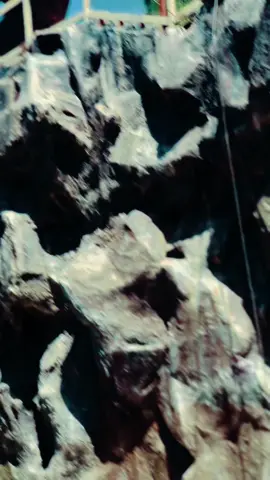 🍎#WheneverWherever #foryou #foroyoupage #viralvideo #fypシ 