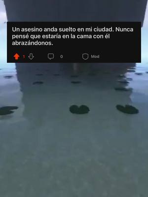 ⚠️ Un asesino anda suelto en mi ciudad. Nunca pensé que estaría en la cama con él abrazándonos.. Parte 2(Final) #reddit #redditespañol #historiasdereddit #historiasdeterror #redditespañol #reddit #es #askreddit