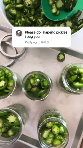 Yes ma’am 🫡 #gardentok #gardenharvest #preserving 