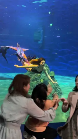 @🐋守護神 圓仔 很搶鏡😂 #mermaid #美人魚 #fyp 