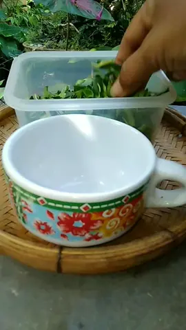 ว้าวุ่นนอนไม่หลับ  ลองชาใบมะกรูดดูนะเพื่อนๆจะได้หลับสะบาย😁สมุนไพรใกล้ตัว#ชงดื่มก่อนนอน #ชาใบมะกรูด #สมุนไพรใกล้ตัว #แก้นอนไม่หลับ #สมุนไพร #ของดีบอกต่อ #เมนูบ้านๆ #ห้องครัวtiktok #บ้านสวน #บ้านสวนของฉัน #บ้านสวนบุษบา 