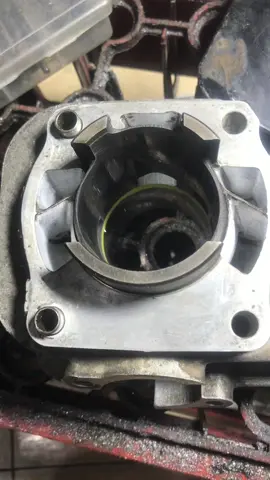 #porting #fizr #dailyuse 