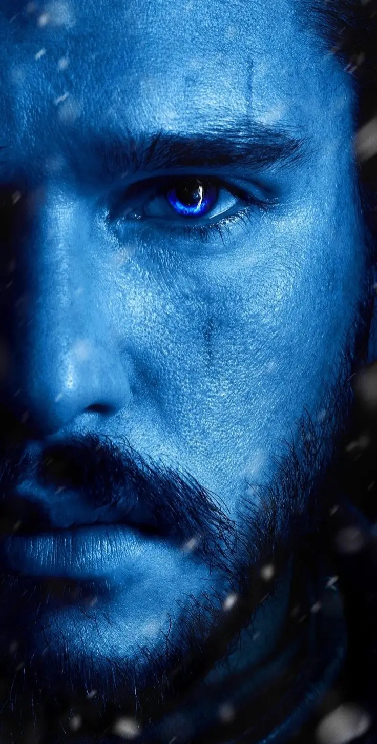 Wallpalpers 🎬🍿 #jonsnow #aegonvitargaryen #ghost #gameofthrones #got #housestark #stark #thebattleofbastard #kinginthenorth #jonnieve #f #fyp #foryou #fypシ #foryoupage 