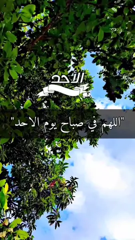 اللهم في صباح يوم الاحد اللهم يسر لنا امور حياتنا#دعاء_جميل 