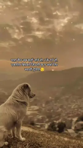 एकातिर बिग्रेको जिन्दगी छ त अर्को तिर स्वार्थी दुनिया 😔🙏#fypシ #fypage #sadlife #viralvideo #trend #pyuthanimuser #सम्झना_मनैमा🥀 