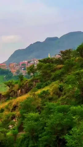 اجواء الصباح ريف اليمن #ايوب_طارش #اكسبلورررررررررررررررررررررررر #مناظر_طبيعة 