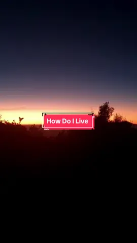 How Do I Live Without You? #foryou #howdoilive_leannrimes #liriklagubaratjadulhitz #nostalgialagubaratlawas #fyp #fypシ゚viral #xyzbca 