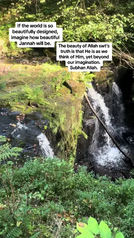 #nature #beautyofnature #allah #granddesign #beautifulnature #jannah #allahisgreat #faith #remembranceofallah #injannah #hope #mercy #Love #lovenature 