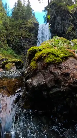 #ريلاكس🤗#هدووؤء#طبيعية #منوعات #موسيقى #عالمية #شرقي #غربي #❤💜💙💛🖤 #strom75901 