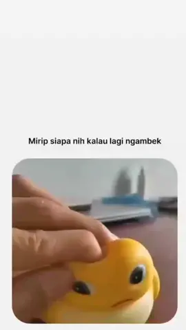 dia kira serem gtu ya,pdhal mkin marah mkin lucu #storytime #storywahtsapp #setorybucin #bucin #lucucute😻 #fyppppppppppppppppppppppp 