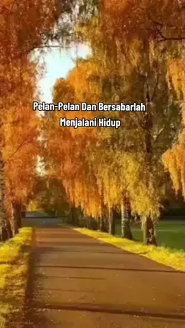#janganlupabersyukurhariini #begrateful #lifemotivation 