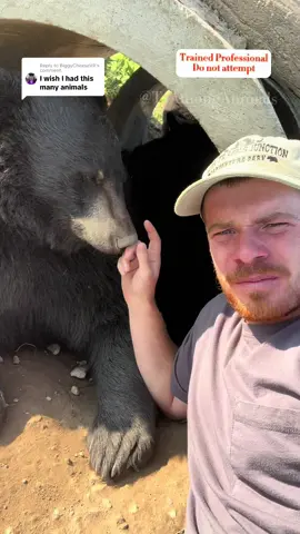Replying to @BiggyCheeseVR Experience my average morning working with animals 😃 #amonganimals #animalsoftiktok #morningroutine #animalsrule 