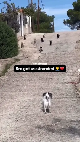 A day in my life without my patek 💔😪 ( compilation of my videos part 6 )