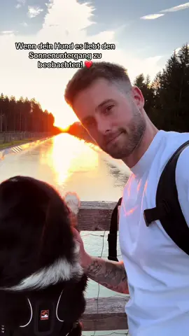 Mit wem seht ihr euch am liebsten den Sonnenuntergang an? 😊🐶