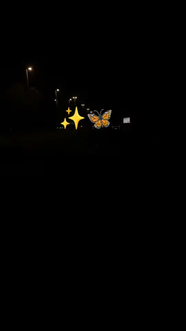 نتي فراشة نتي للاهم 🦋✨                                                                                                         #fypシ゚viral #foryou #capcut #viralvideo #اكسبلور #شعب_الصيني_ماله_حل😂😂 #fypシ #dog 