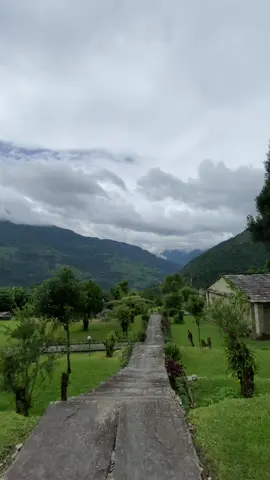 🕊️   #majgaon #gurunglodge #lumle 