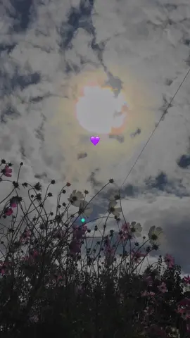 sevdiklerimizde..🖤#storylikvideolar📌 #kevseryeginer #manzaravideolari #gökyüzüvideoları #sevgimizdegerceksevdiklerimizde🧿💙❤🧿🌹 #zamanakarşı #hayatandanibarettir #storylik #fypシ 