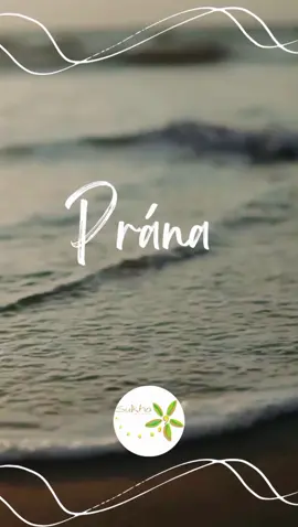 Prána  Prána é o nome genérico que designa energia de qualquer tipo que possa ser manifestada biologicamente. Sendo de origem solar, o Prána também pode ser absorvido do ar, água ou alimentos. Prána é  bioenergia e está disponível para todos.  Pránáyáma é a técnica de aumentar, intensificar e expandir a disponibilidade de Prána no organismo.  No yoga são usados exercícios de Pránáyáma para que o praticante possa aceder a essa expansão energética.  Estes exercícios trazem inúmeros benefícios como o aumento da consciência corporal, diminuição de stress, ansiedade e aumento da capacidade respiratória. Por: Cristiana Martins  Vem experimentar!  Entra em contacto connosco, links na bio!  . . . #yoga #yogaalfena #Yogaespacial #yogasukha #yogaportugal #alfena #ermesinde #valongo #porto #sukhayogaterapias #yogaparatodos 