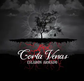 Diciembre - Eslabón armado 💕💕💕 #parati #fyp #diciembre #eslabonarmadooficial #eslabon #amor #foryoupage #cancionesparadedicar💗 #cancionesparadedicar💗 