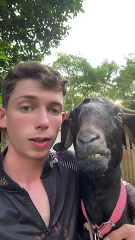 Sou desses #videoviral #fypシ 