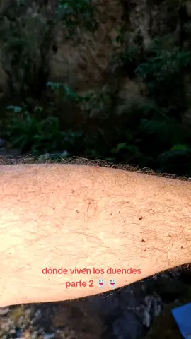donde viven los duendes parte 2 👻👻