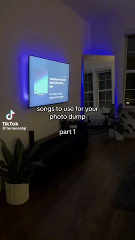 another series! #fyp #foryou #trend #photodump #audios #songs #music #trendy #house #tour #led