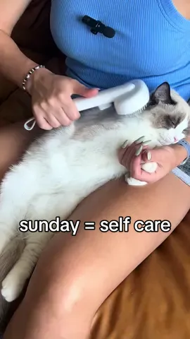 redd loves his sunday grooming ft @aumuca.official brushes 🤌🏼 (ASMR fail - next time lol) #ragdollcat #ragdollkitten #ragdollsoftiktok #catsoftiktok #catgrooming #catbrush #SelfCare #SelfCareRoutine #catmassage #sundayreset 