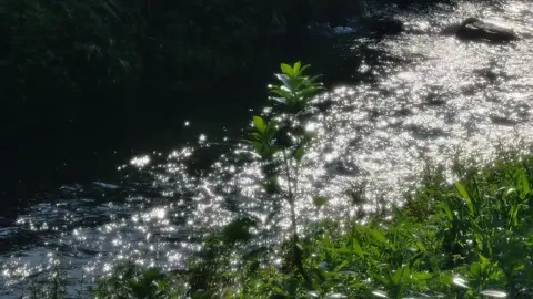 Đi đến nơi có gió, hòa mình vào thiên nhiên, cảm nhận sự an yên.. . #goodvibes #fyp #viral #peaceful#thanhxuân #tuoithotoi #tuoitre #tuổithơ #tuổitrẻ #peacefulplace #chillmỗingày #chillmộtchút #yênbình #mộtbuổichiềuchill #nhạcchillcảnhđẹp #cảnhđẹpthiênnhiên #chill #relaxvideo #beautifulday #aesthetic #nature #yamsun #mùahè 