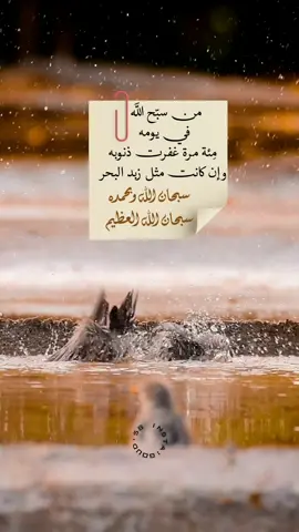 #صلوا_على_رسول_الله #بثوث_مباشره #fypシ #اكسبلورexplore #قرآن #صورة #explore #viralvideo #مكة_المكرمة_السعودية #دعاء #مساءالخير #مقاطع_فيديو #صباح_الخير #قرآن_كريم #اذكروا_الله #استغفروا #اللهم_ارحم_موتانا_وموتى_المسلمين #صباح_الورد #صباحكم_سعادة_لاتنتهي #دعاء #اذكروا 