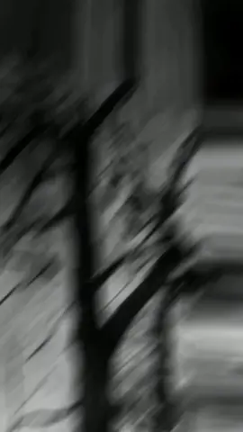 Deja vu.😨😨😨 #dejavu #recuerdos #teoria 