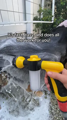 Effortlessly bathe your dog in record time! #dogbath #hydrohound #thegroomi #petbath #doghose #tiktokmademebuyit 