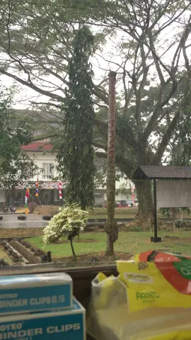 Favorite view dikantor. Cuacanya enak banget buat tarik selimut #rainyday #favoriteview❤️ #kantoran #pegawaihonorer #fypシ 