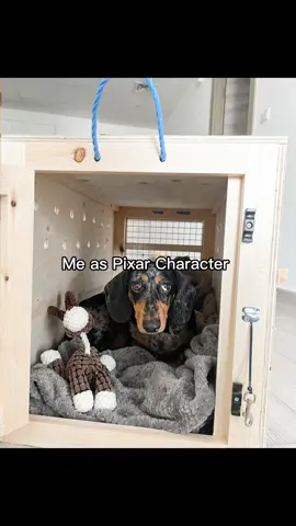 im not THAT scary am i…?🥺 #aifilter #capcut #dachshundsoftiktok #miniaturedachshund #dachshund #dogsoftiktok 