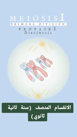 الانقسام المنصف #الجزائر #دراسة #Science 