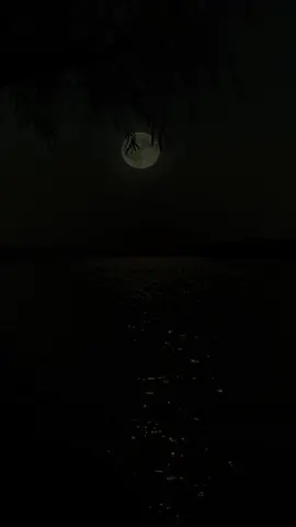 #macislam #islam #muslim 