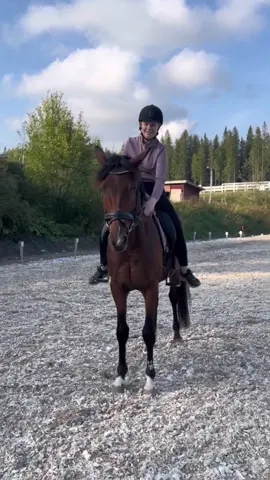 Saatoin tänään käydä ihan vähän selässä🥲😮‍💨❤️ #horses #horsesontiktok #foryoupage #foryou #fyp #fry #iloveyou 