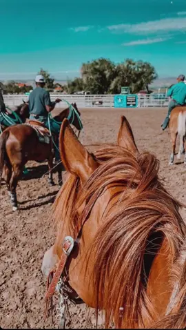 Tay Loco (Grupo Kvrass) #viral  #fypシ  #vallenato  #grupokvrass  #tendencias  #music  #parati 