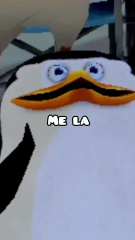 Bonitos y cabrones muchachos😎 #memes #fyp #vtuber #compadre #twitch  #parati #humor 